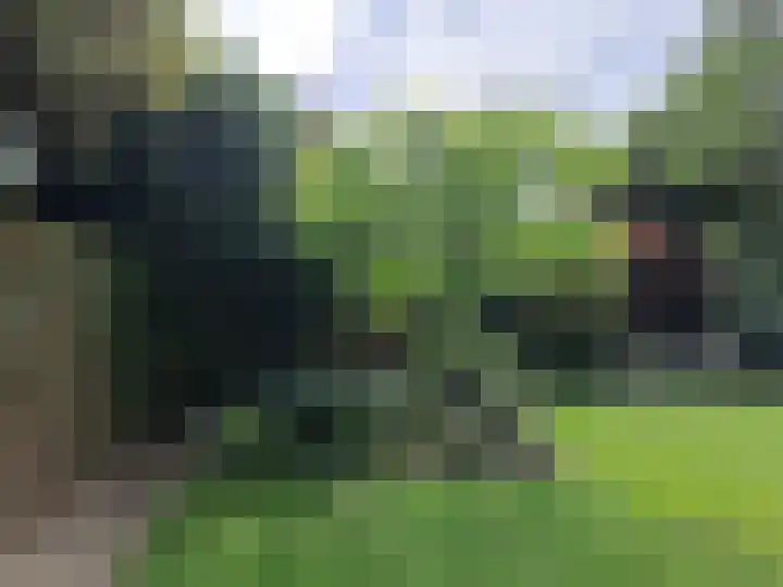 Peelland 5 Riel thumbnail 40