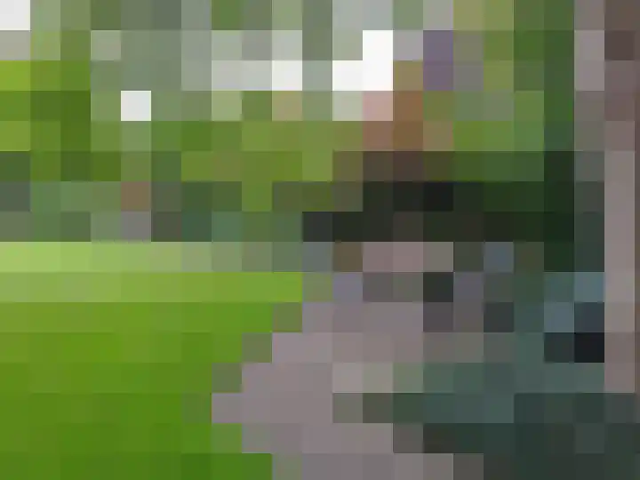 Peelland 5 Riel thumbnail 41