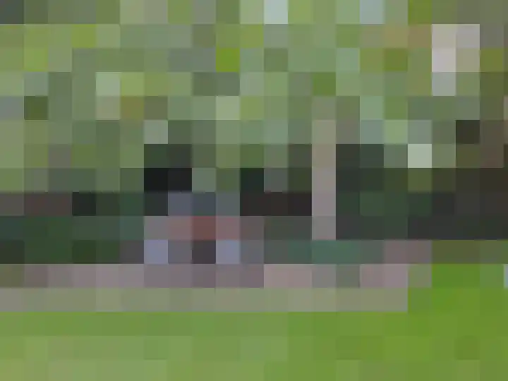 Peelland 5 Riel thumbnail 42
