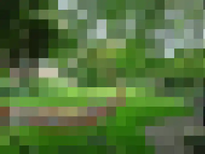 Peelland 5 Riel thumbnail 43