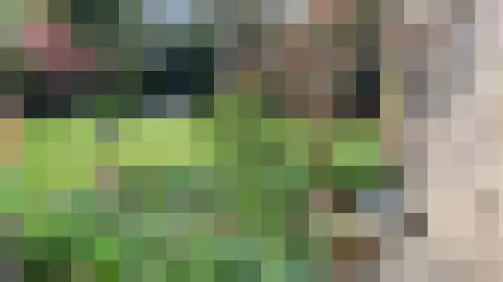 Peelland 5 Riel thumbnail 44