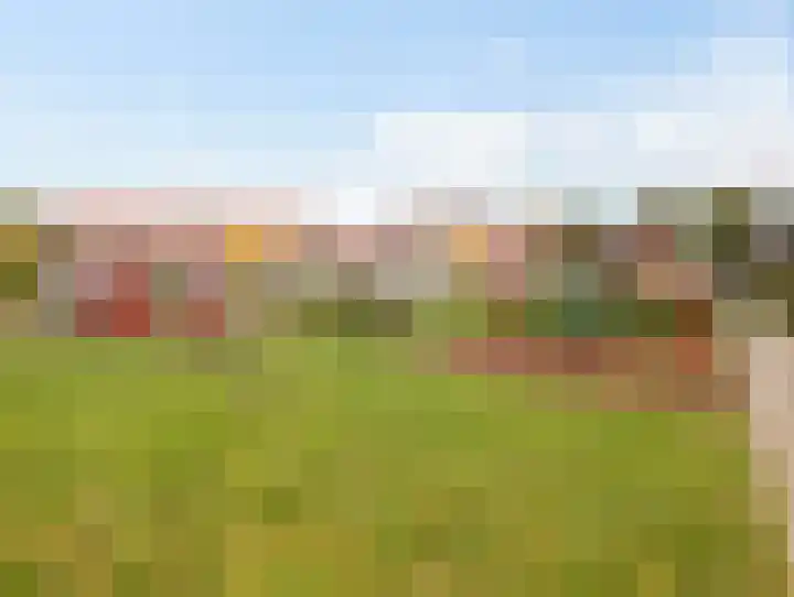 Peelland 5 Riel thumbnail 45