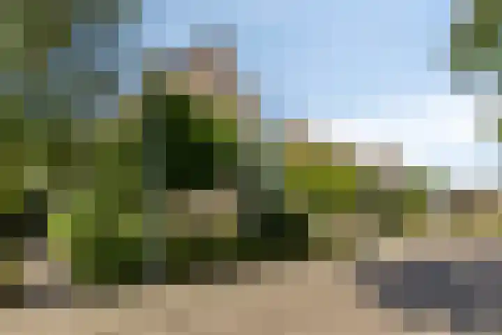 Peelland 5 Riel thumbnail 9