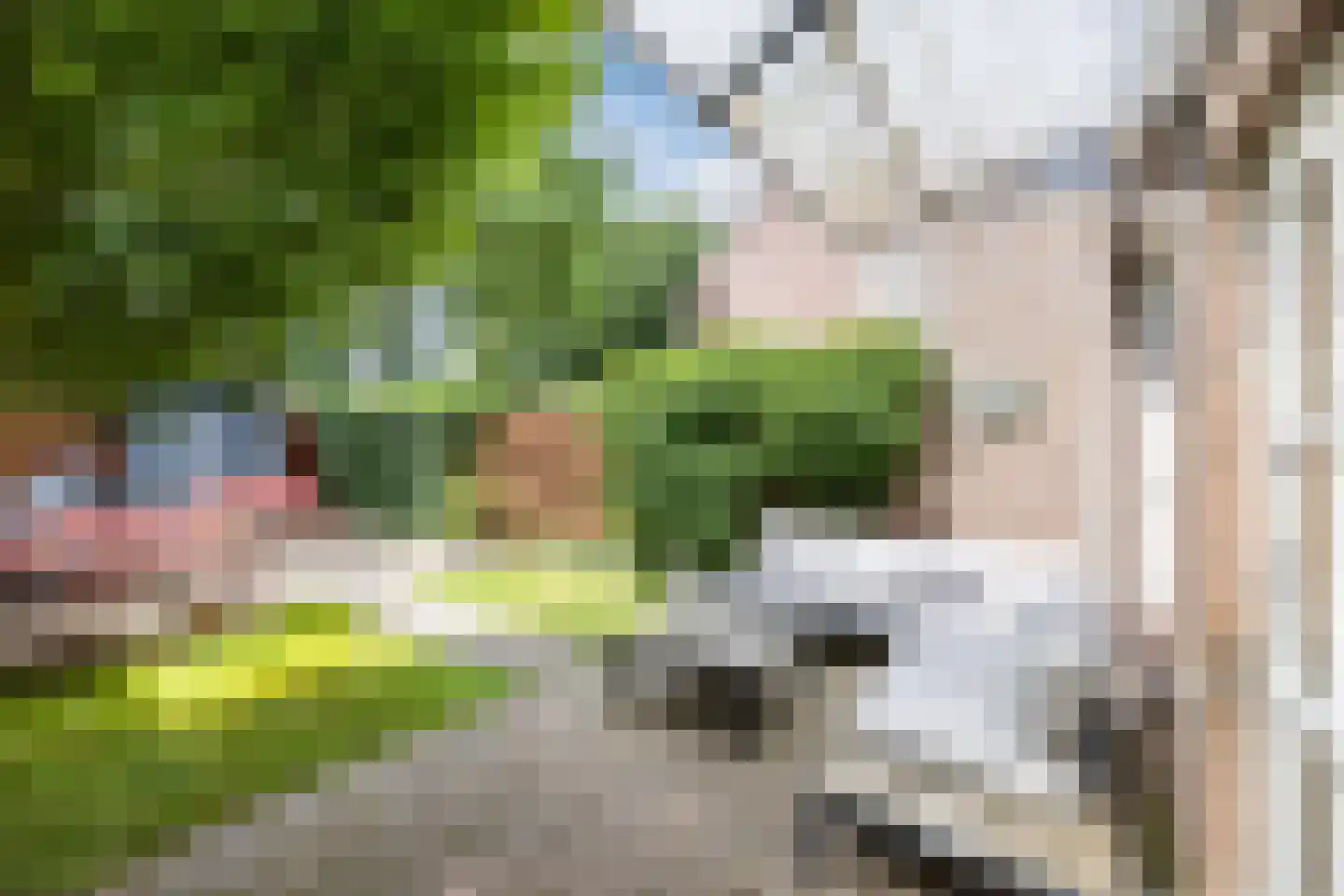 Peelland 51 Kaatsheuvel thumbnail 37