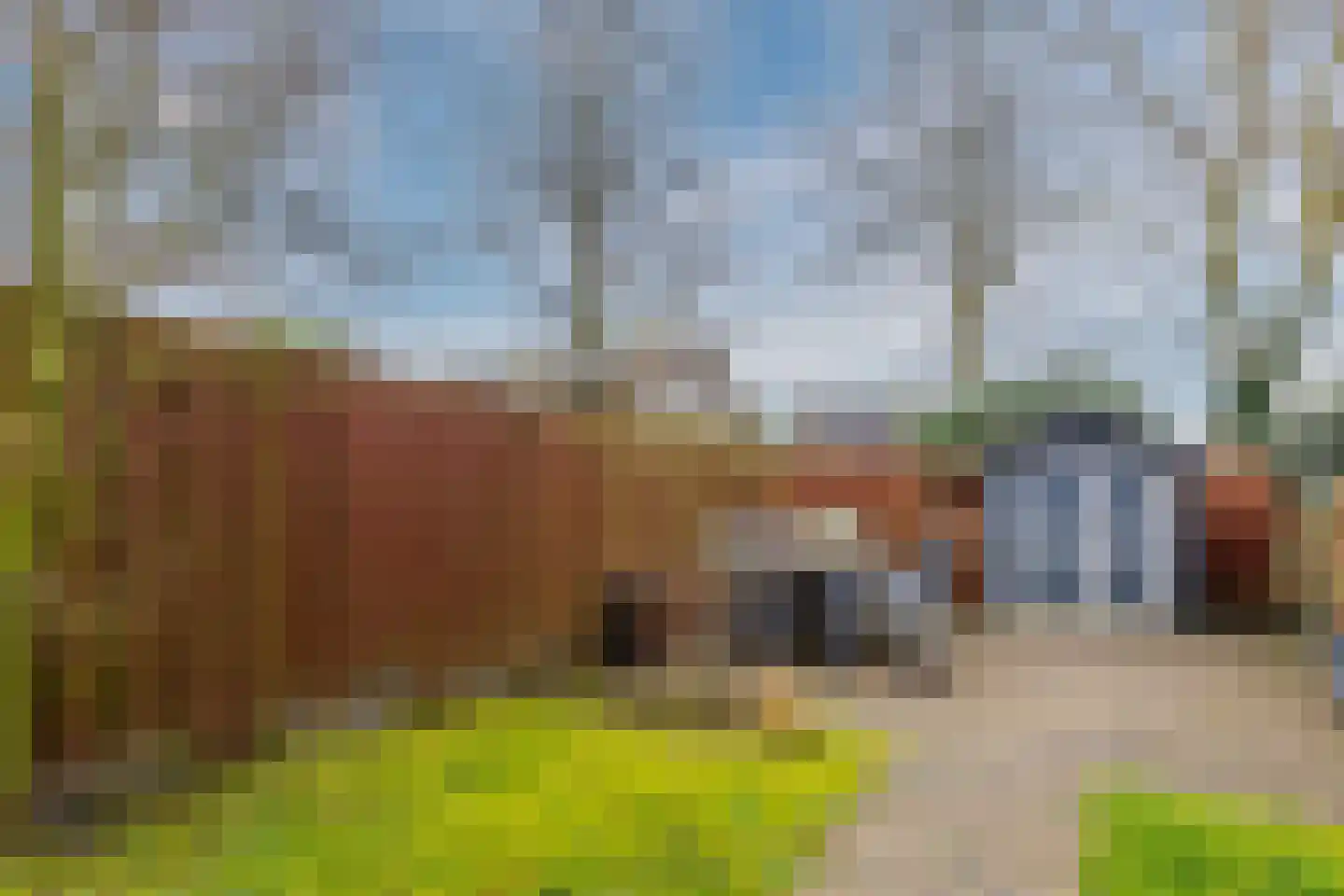 Peelland 51 Kaatsheuvel thumbnail 40