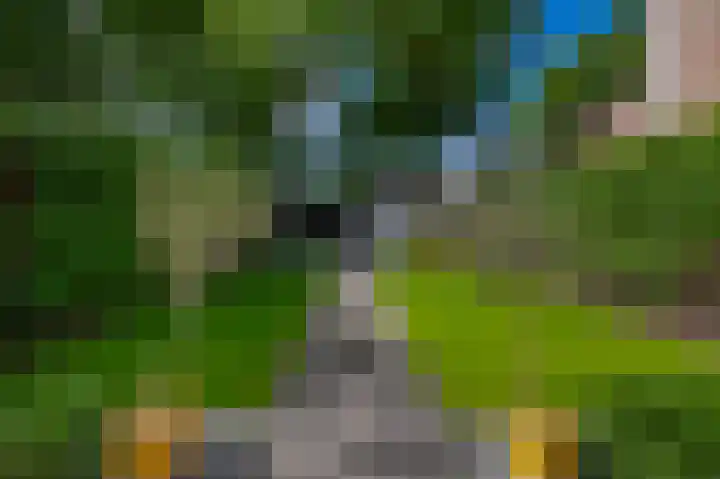 Peelland 53 Kaatsheuvel thumbnail 23
