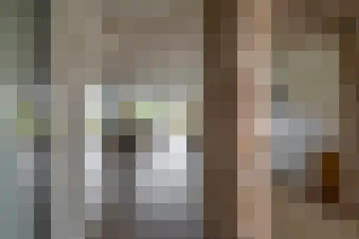 Peelland 53 Kaatsheuvel thumbnail 4