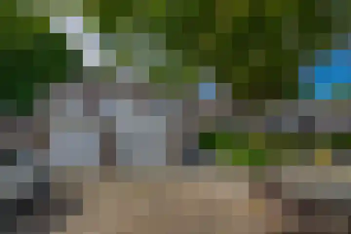 Peelland 53 Kaatsheuvel thumbnail 41