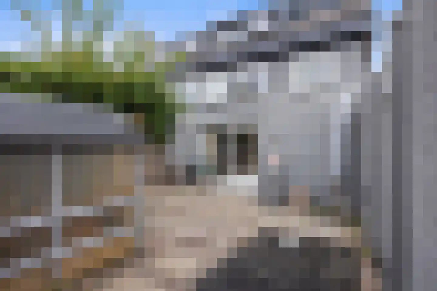 Peelland 6 Kaatsheuvel thumbnail 37