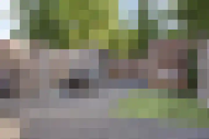 Peellandhof 3 Etten-Leur thumbnail 27