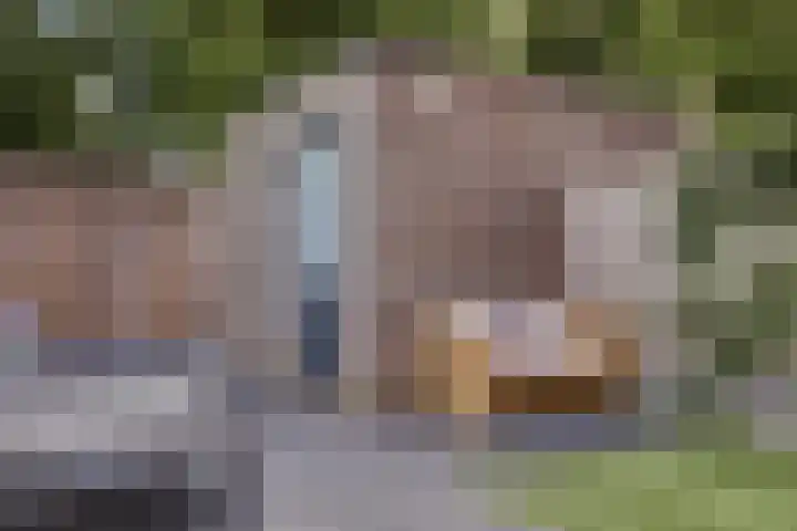 Peellandhof 3 Etten-Leur thumbnail 28