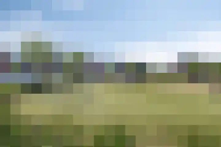 Peellandhof 3 Etten-Leur thumbnail 36