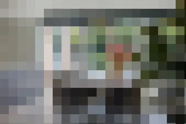 Peellandhof 64 Etten-Leur thumbnail 16