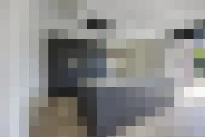 Peellandhof 64 Etten-Leur foto 3