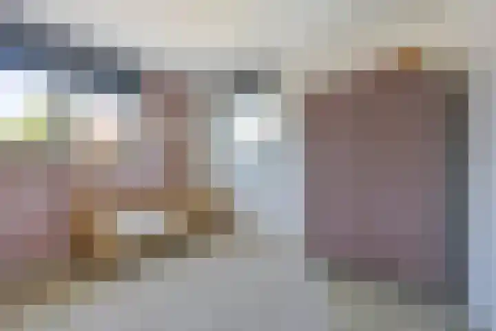 Peellandhof 64 Etten-Leur thumbnail 35