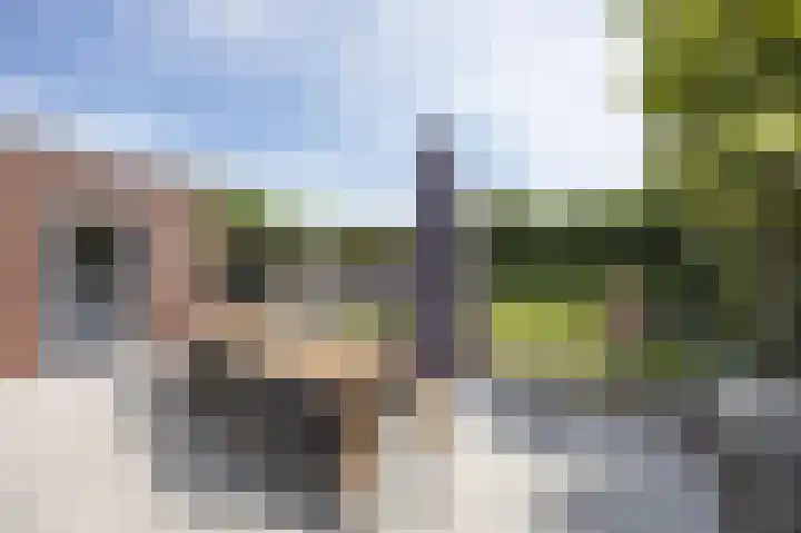 Peellandhof 64 Etten-Leur thumbnail 46