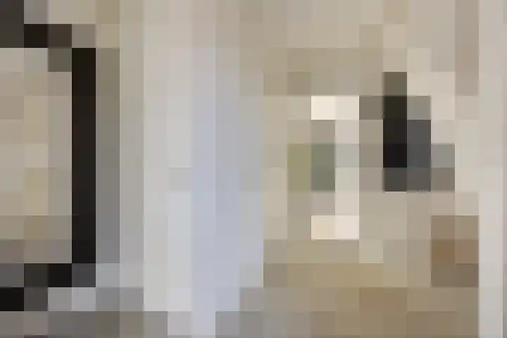 Peellandhof 64 Etten-Leur thumbnail 8