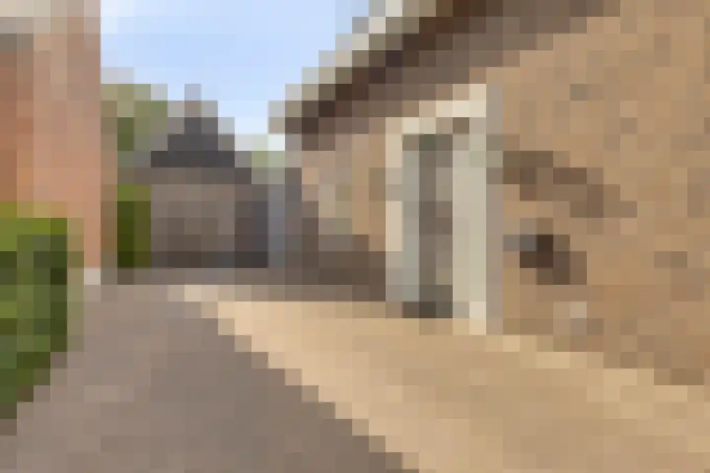 Peellandhof 75 Etten-Leur thumbnail 10