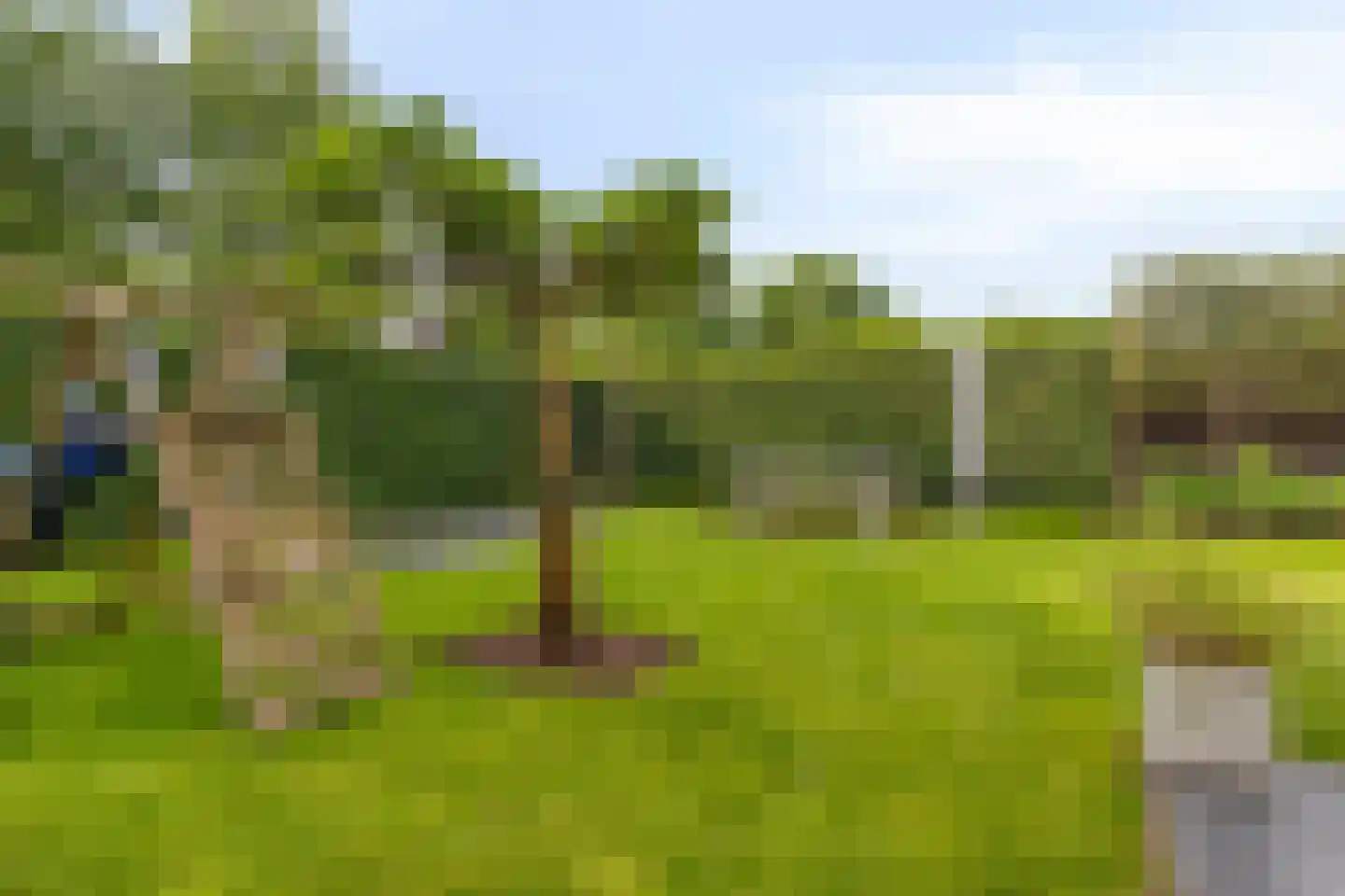 Peellandhof 75 Etten-Leur thumbnail 42