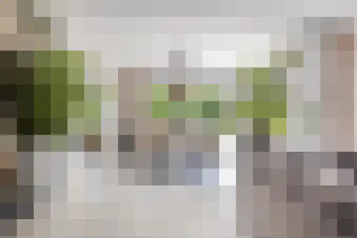 Peellandhof 79 Etten-Leur thumbnail 16