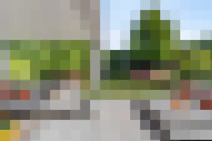 Peellandhof 79 Etten-Leur thumbnail 27