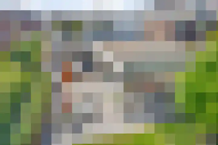 Peellandhof 79 Etten-Leur thumbnail 31