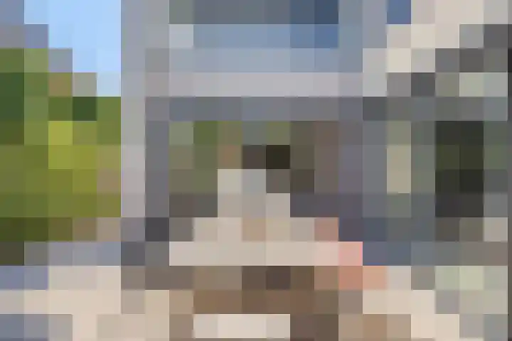 Peellandhof 79 Etten-Leur thumbnail 32