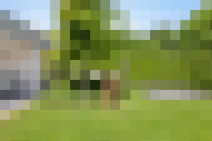 Peellandhof 79 Etten-Leur thumbnail 37