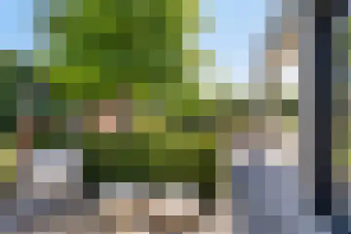 Peellandhof 79 Etten-Leur thumbnail 38