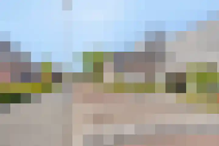 Peellandhof 79 Etten-Leur thumbnail 61