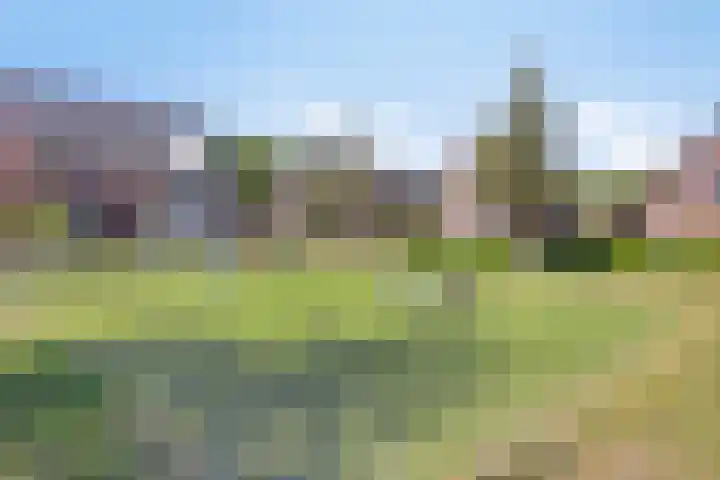 Peellandhof 79 Etten-Leur thumbnail 62