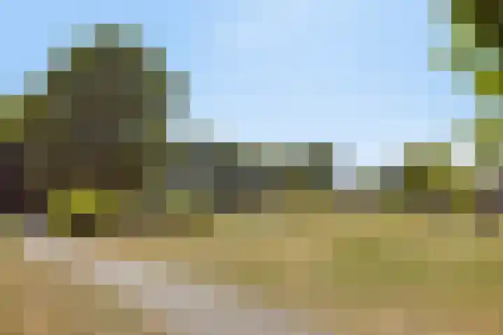 Peellandhof 79 Etten-Leur thumbnail 64