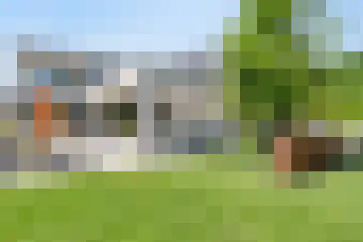 Peellandhof 79 Etten-Leur thumbnail 77