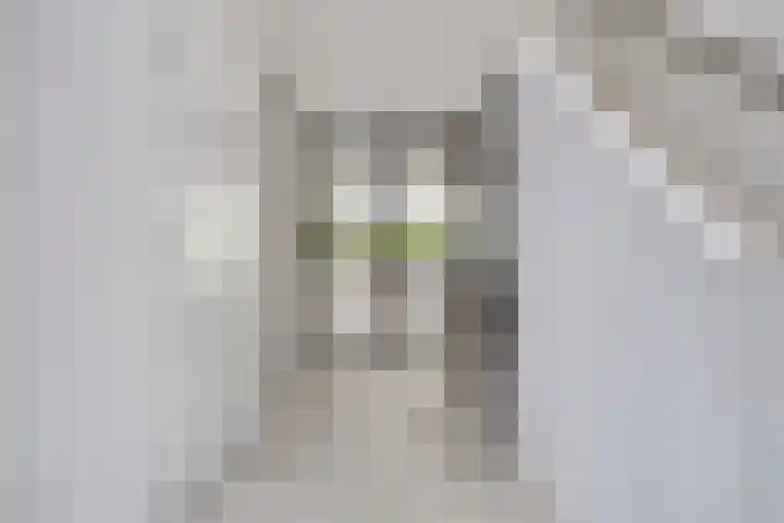 Peellandhof 79 Etten-Leur thumbnail 8