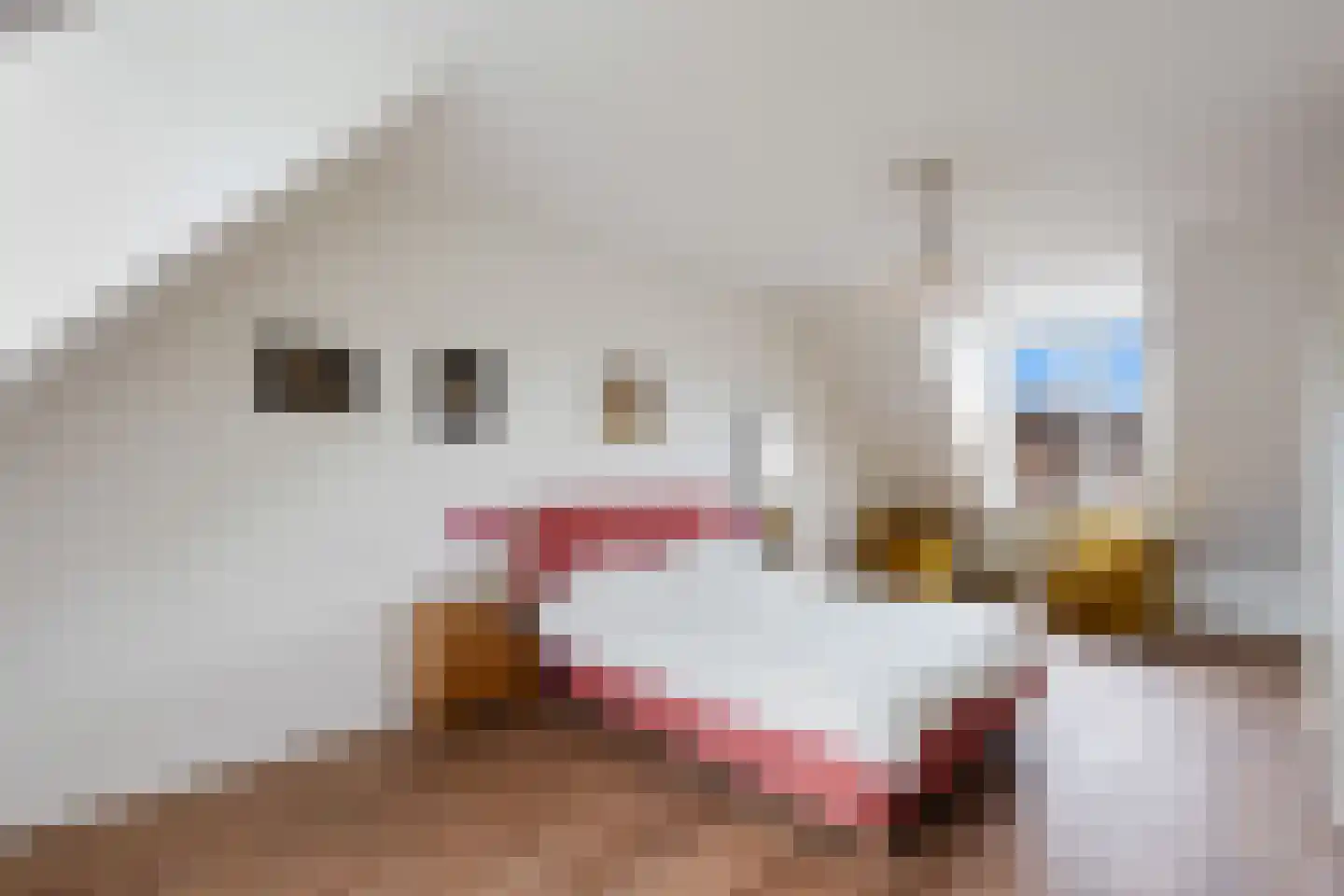Peellandhof 83 Etten-Leur thumbnail 31