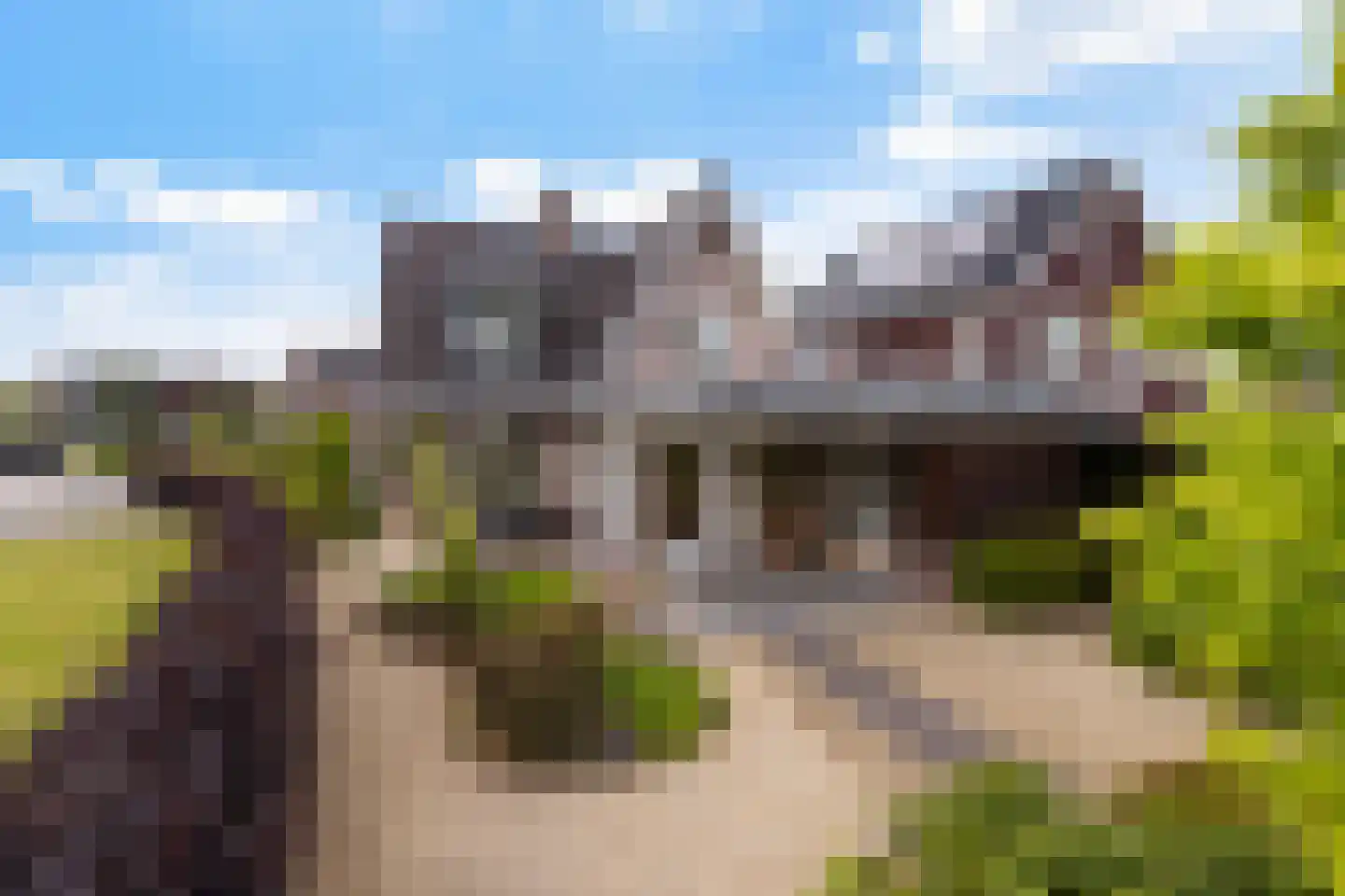 Peellandhof 83 Etten-Leur thumbnail 39