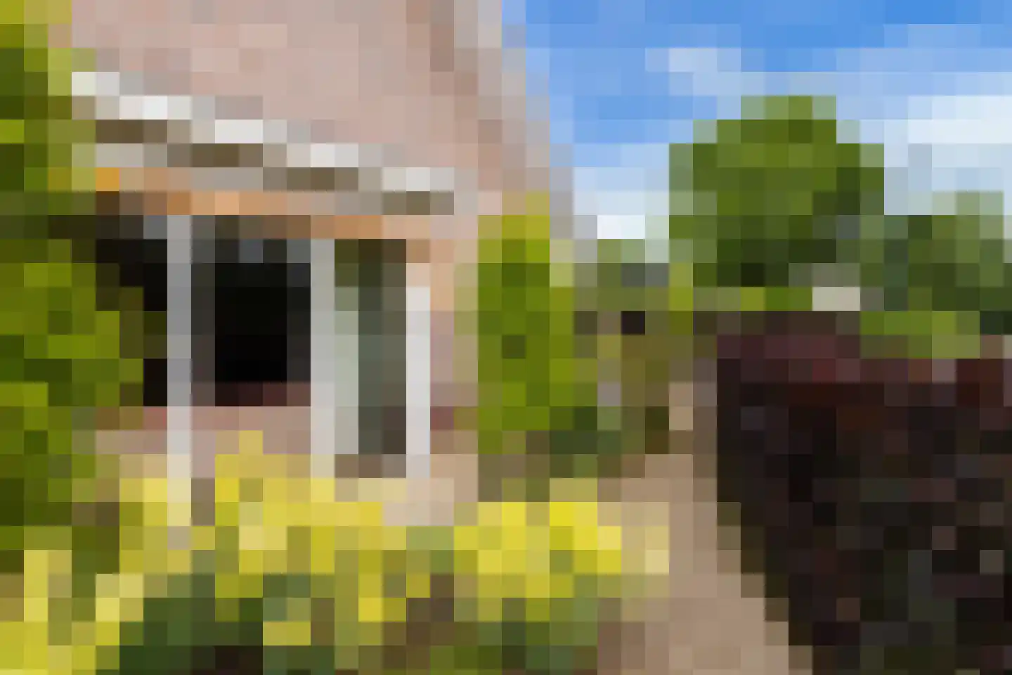 Peellandhof 83 Etten-Leur thumbnail 43