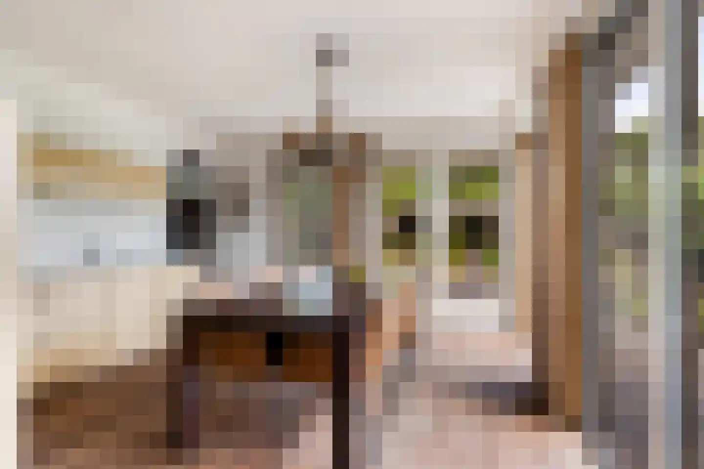 Peellandhof 83 Etten-Leur thumbnail 5