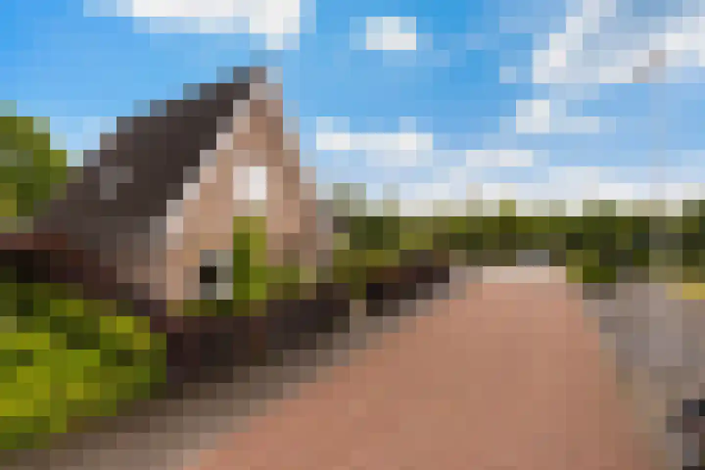 Peellandhof 83 Etten-Leur thumbnail 8