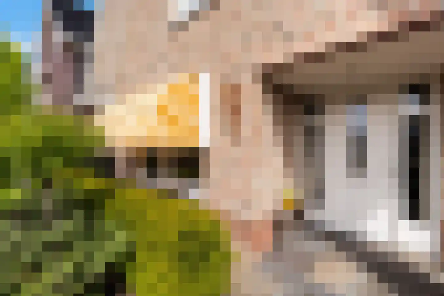 Peellandhof 83 Etten-Leur thumbnail 9