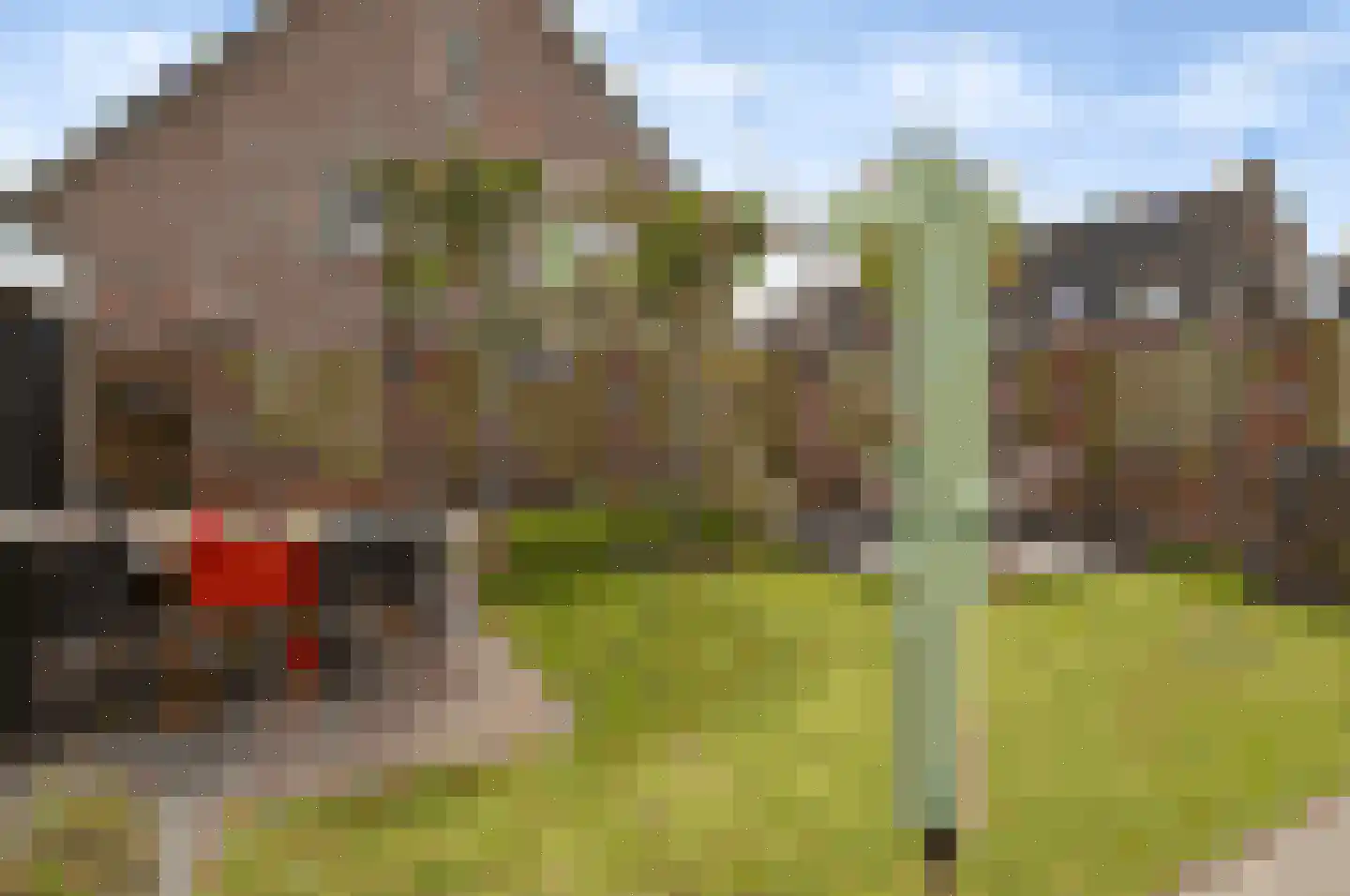 Peellandsingel 110 Deurne thumbnail 24