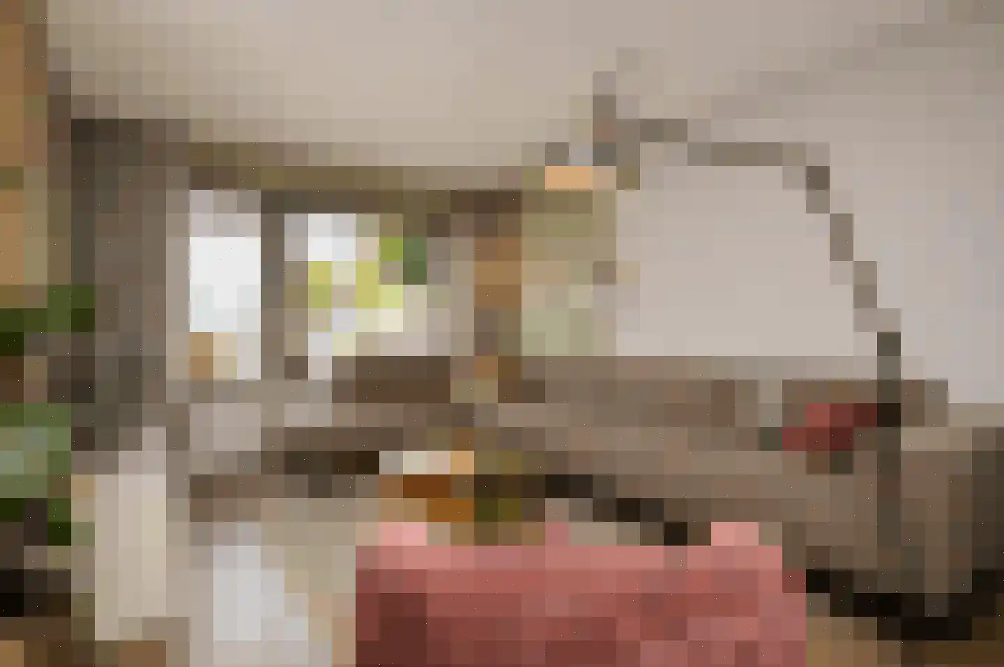 Peellandsingel 110 Deurne thumbnail 4
