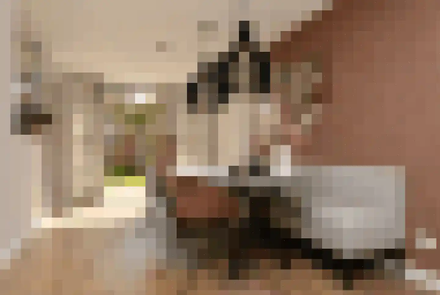 Peellandsingel 110 Deurne thumbnail 6