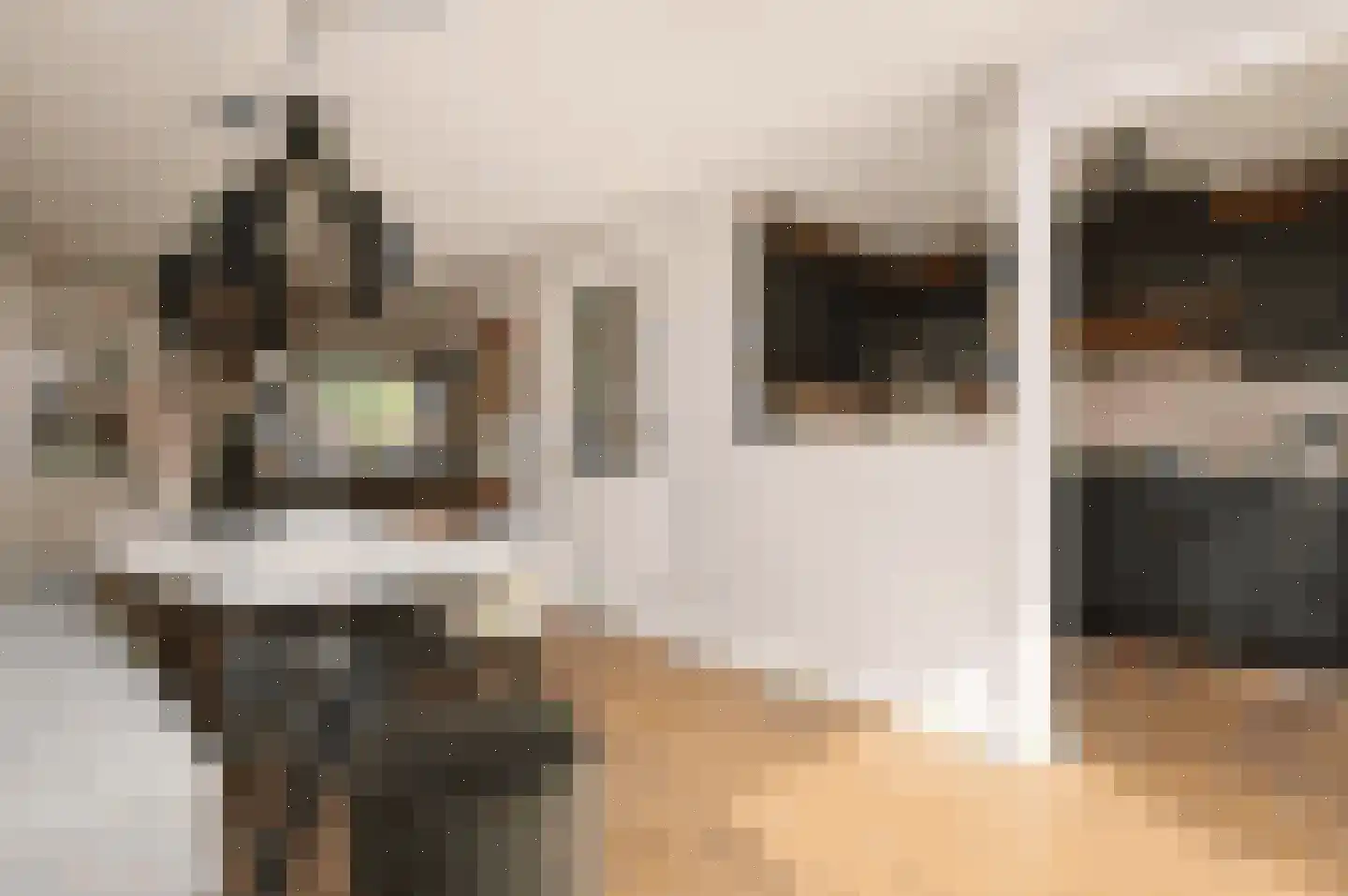 Peellandsingel 110 Deurne thumbnail 7