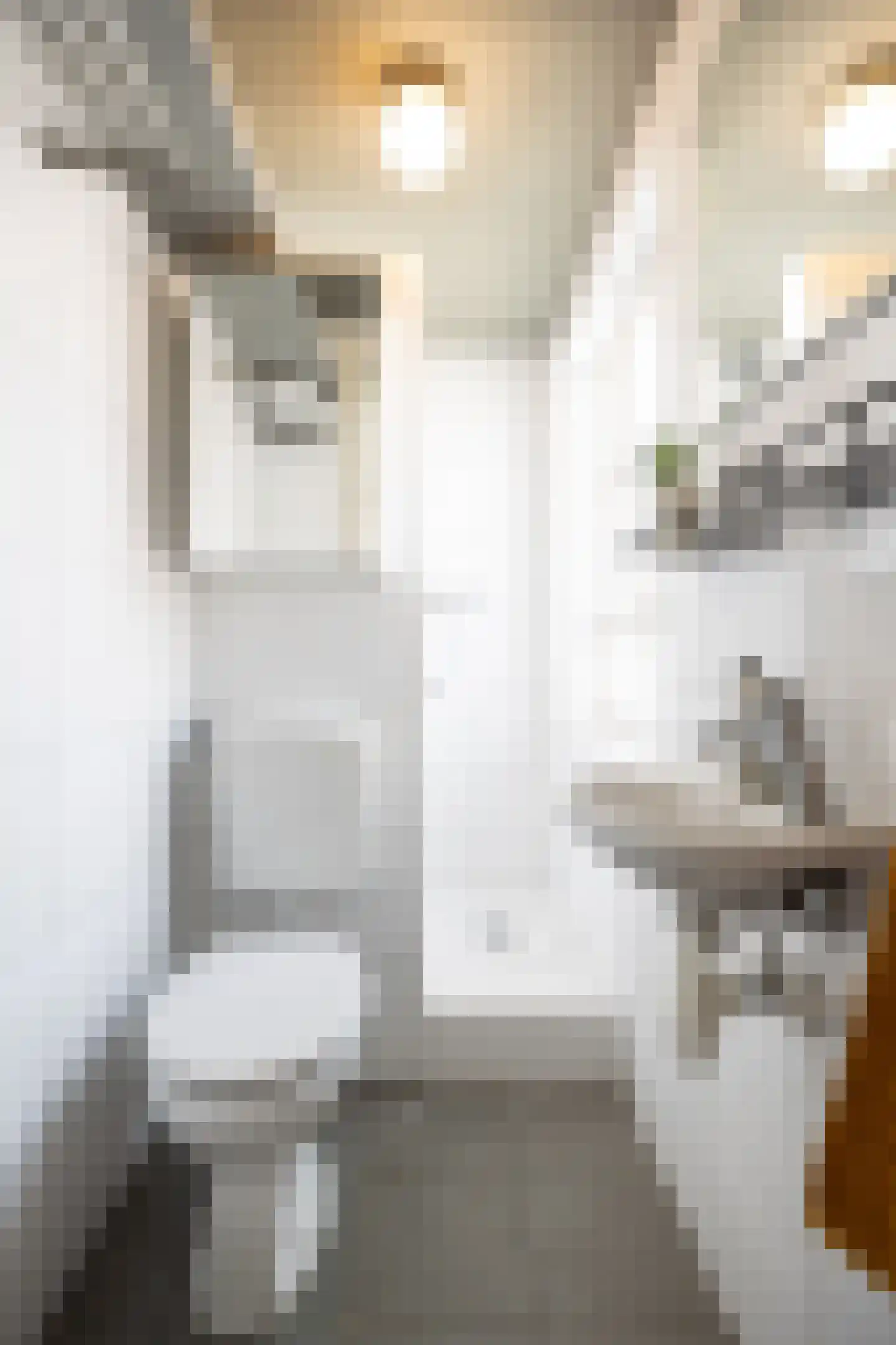 Peellandstraat 17 A 's-Hertogenbosch thumbnail 12