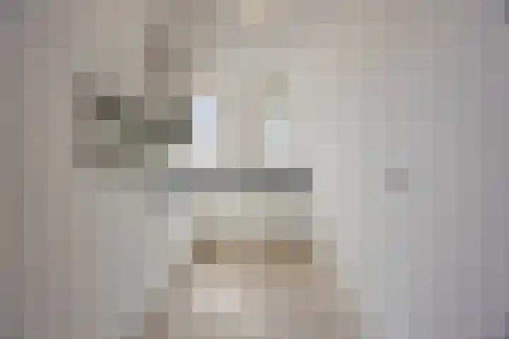 Peellandstraat 18 Veghel thumbnail 14