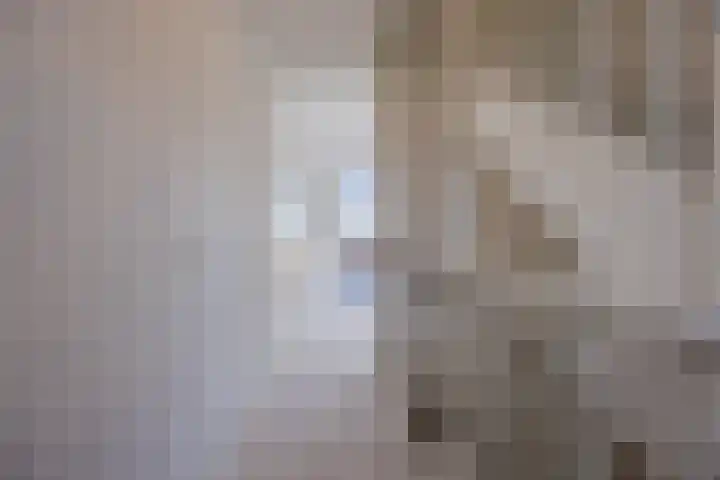 Peellandstraat 18 Veghel thumbnail 20