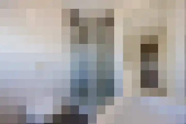 Peellandstraat 18 Veghel thumbnail 28