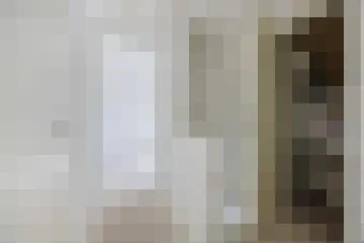 Peellandstraat 18 Veghel thumbnail 30
