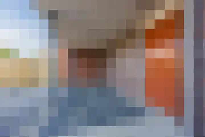 Peellandstraat 18 Veghel thumbnail 34
